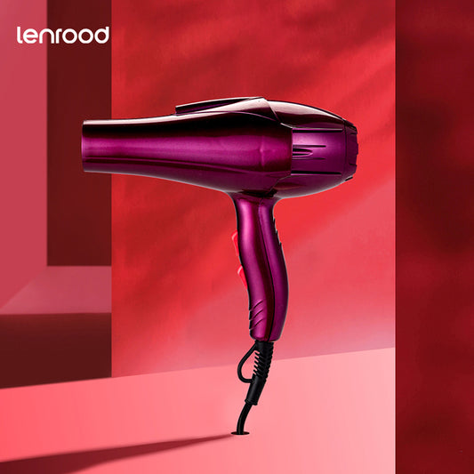 Hair Dryer Professional Ion Hairdryer LR-1289