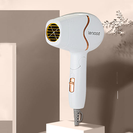 Professional Hair Dryer Hairdryer LR-1700