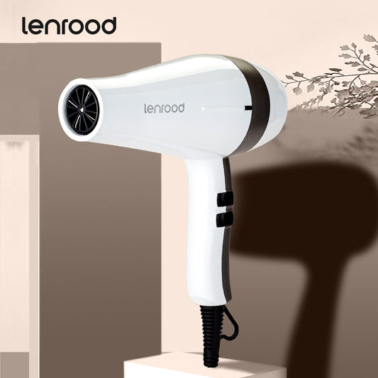 Professional Hair Dryer Hairdryer LR-3660