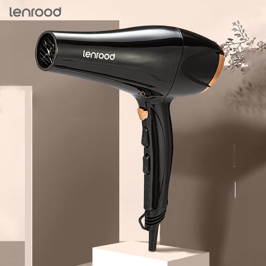 Professional Hair Dryer Hairdryer LR-5805