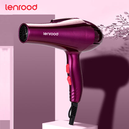 Hair Dryer Professional Ion Hairdryer LR-1289