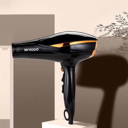 Professional Hair Dryer Hairdryer LR-8510