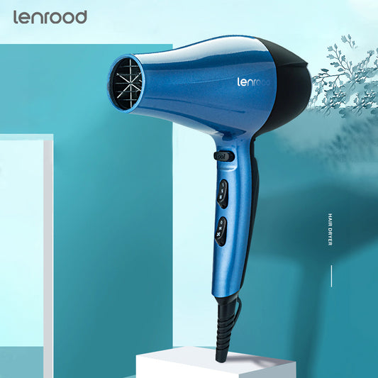 Professional Hair Dryer Hairdryer LR-2163