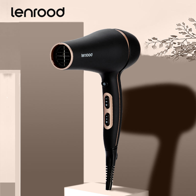 Hair Dryer Professional Hairdryer LR-5916AC