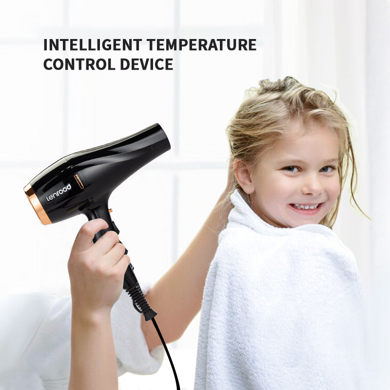 Professional Hair Dryer Hairdryer LR-6880