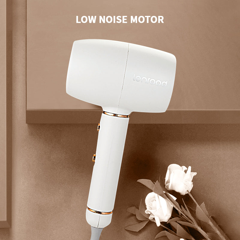 Hair Dryer Professional Hairdryer LR-3391