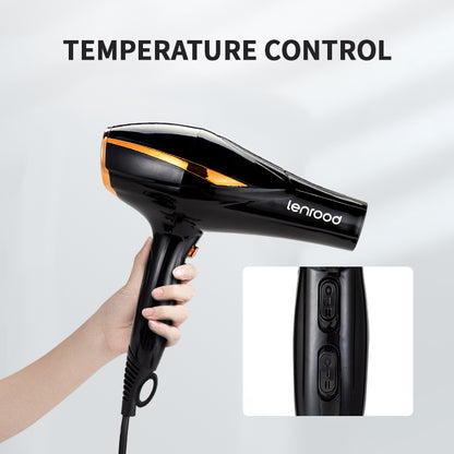 Professional Hair Dryer Hairdryer LR-8510