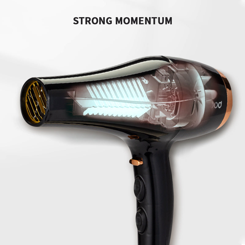 Professional Hair Dryer Hairdryer LR-6880