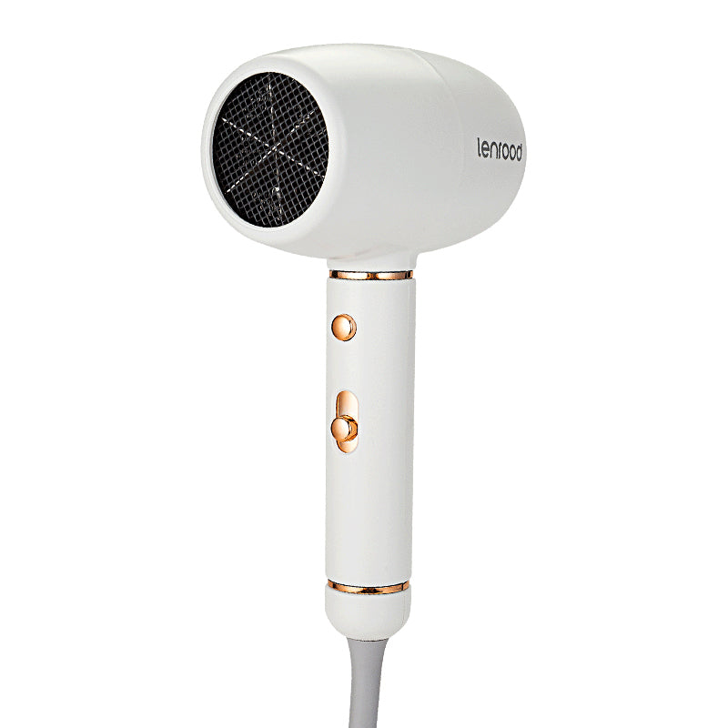 Hair Dryer Professional Hairdryer LR-3391