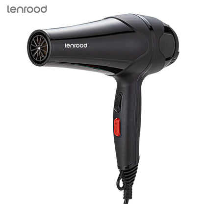 Professional Hair Dryer Hairdryer LR-3001