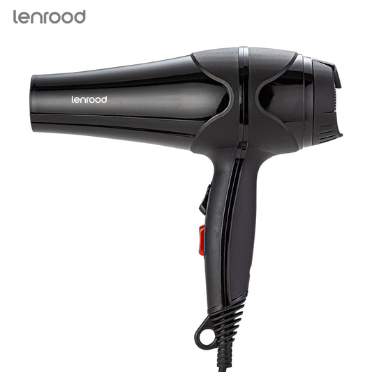 Professional Hair Dryer Hairdryer LR-3001